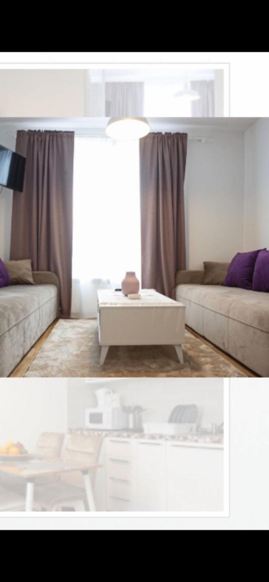 Wolf Apartment *